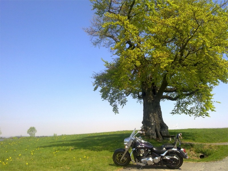 24042011173.jpg